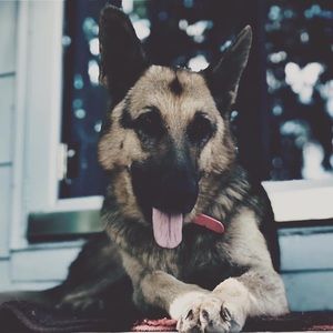 Meet your Posher, Morgan